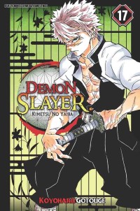 Demon Slayer: Kimetsu no Yaiba 17